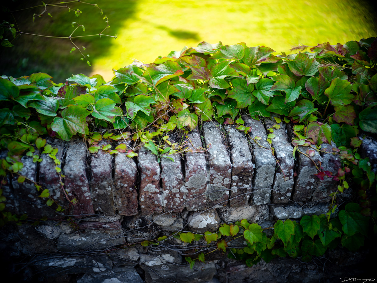 Photos from a trip through Italy in Summer of 2023. Locations include Rome, Florence, Tuscany, Castello di Bossi in Chianti, Siena, San Gimignano, Sirmione on Lake Garda, Bologna, Gudon, Italian Dolomites, Seceda, Cadini di Misurina, and Venice.